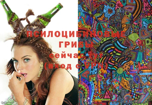 синтетический гашиш Алексин
