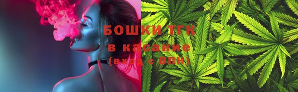 крисы Алзамай