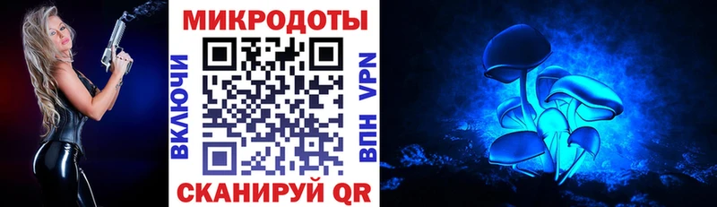 Галлюциногенные грибы мухоморы  даркнет сайт  Салехард 